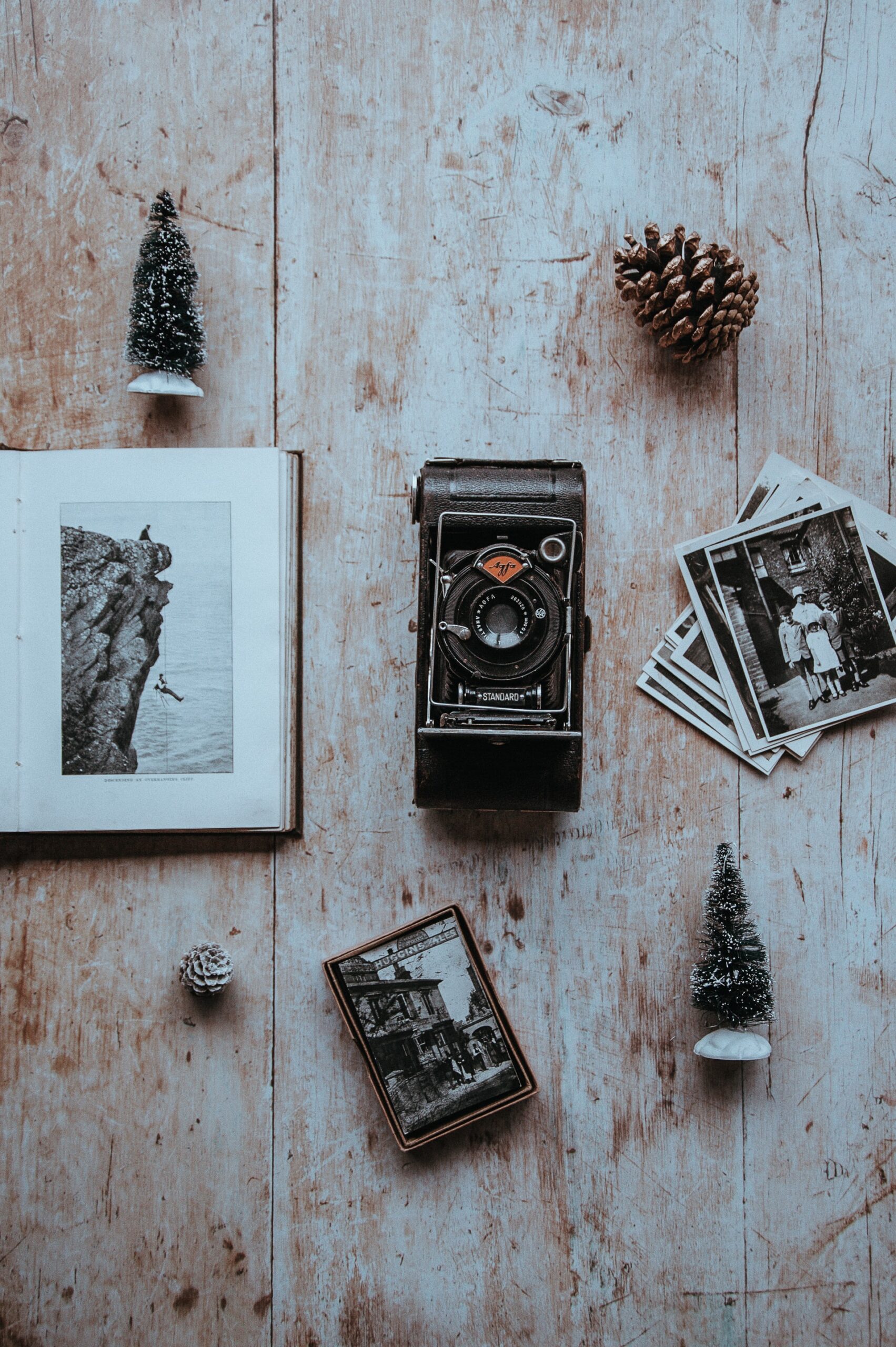 annie-spratt-HvDsjfgPDFE-unsplash