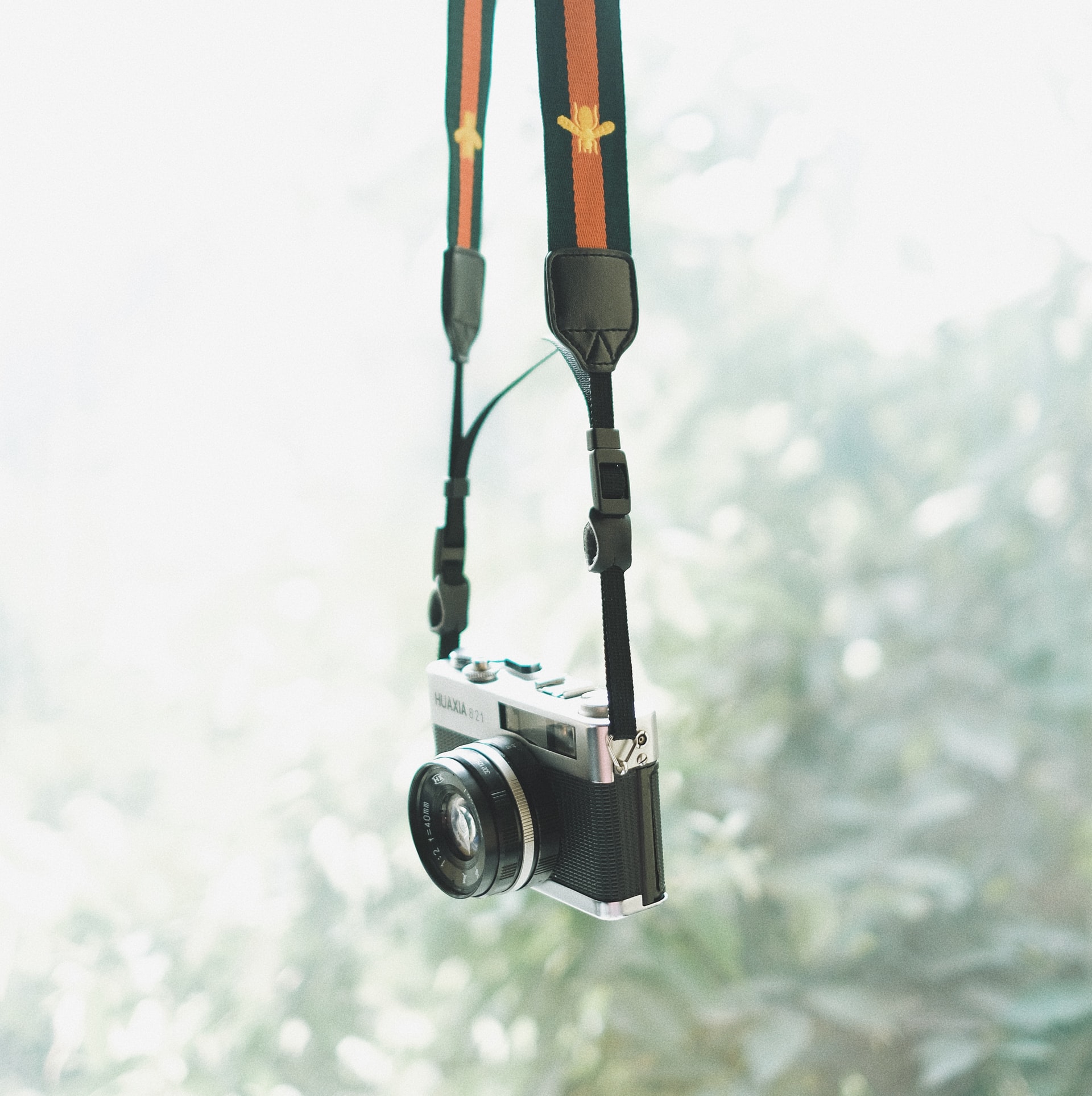 thirteen-j-m9qM1nJpYTg-unsplash